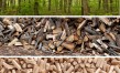 Le bois de chauffage : économie et écologie